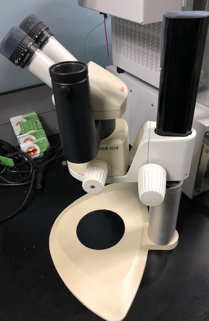 Leica MZ6 Microscope used nice