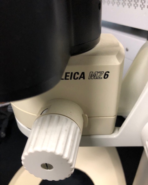 Leica MZ6 Microscope used nice