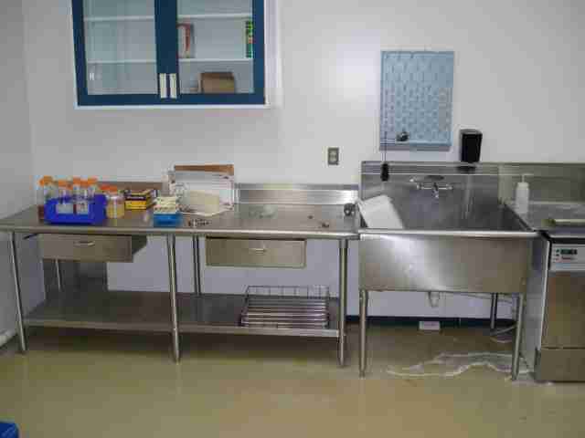 Triad Stainless Steel Sink And Table Used