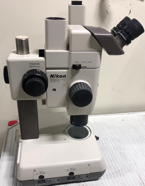 NIKON SMZ-U Stereoscopic Zoom Microscope